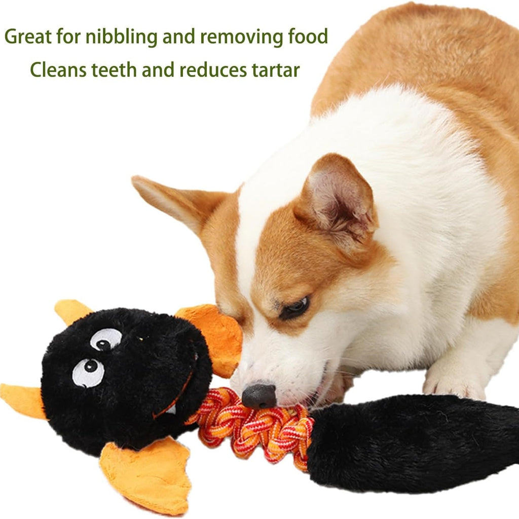 Fun Plush Pet Toys – Squeaky & Durable