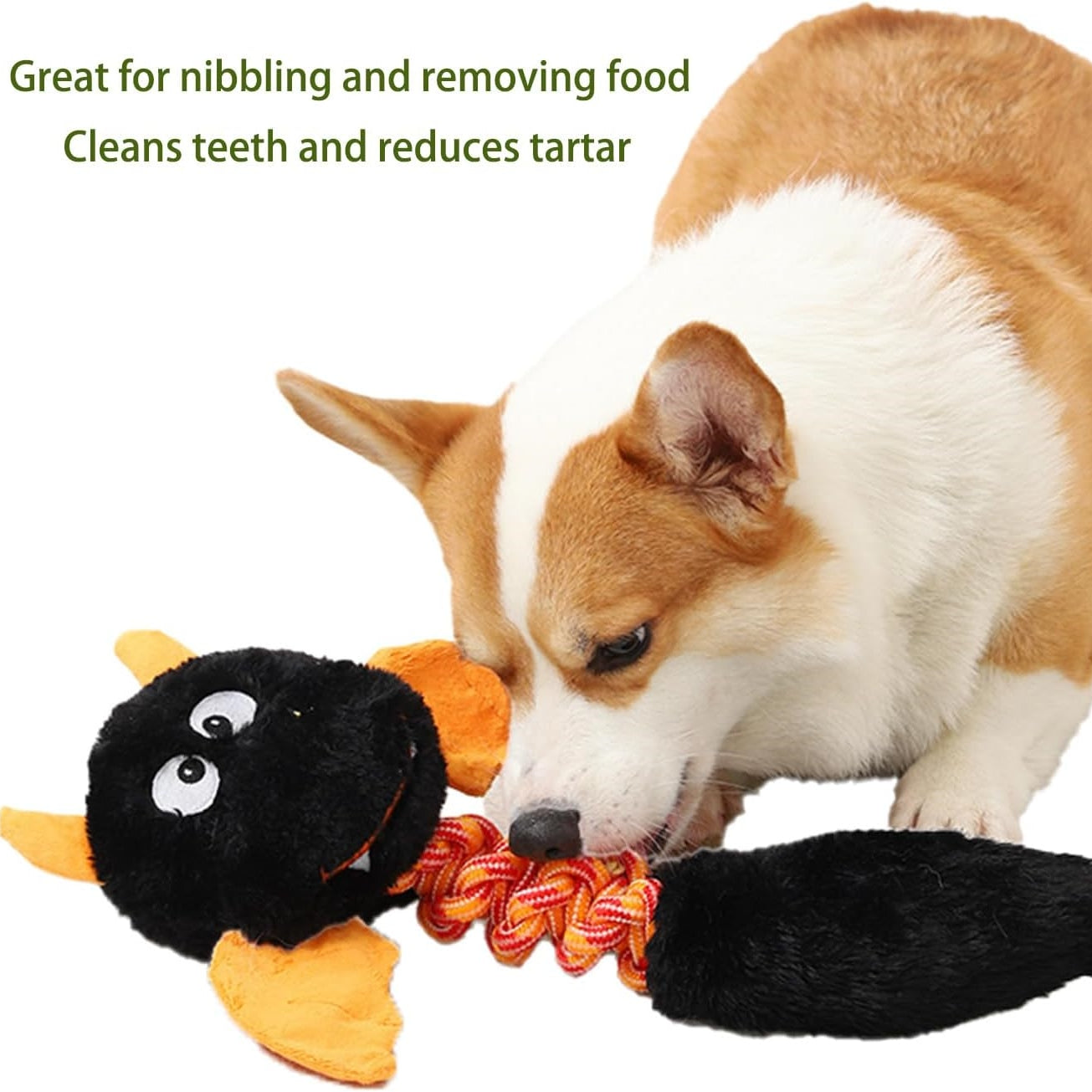 Fun Plush Pet Toys – Squeaky & Durable