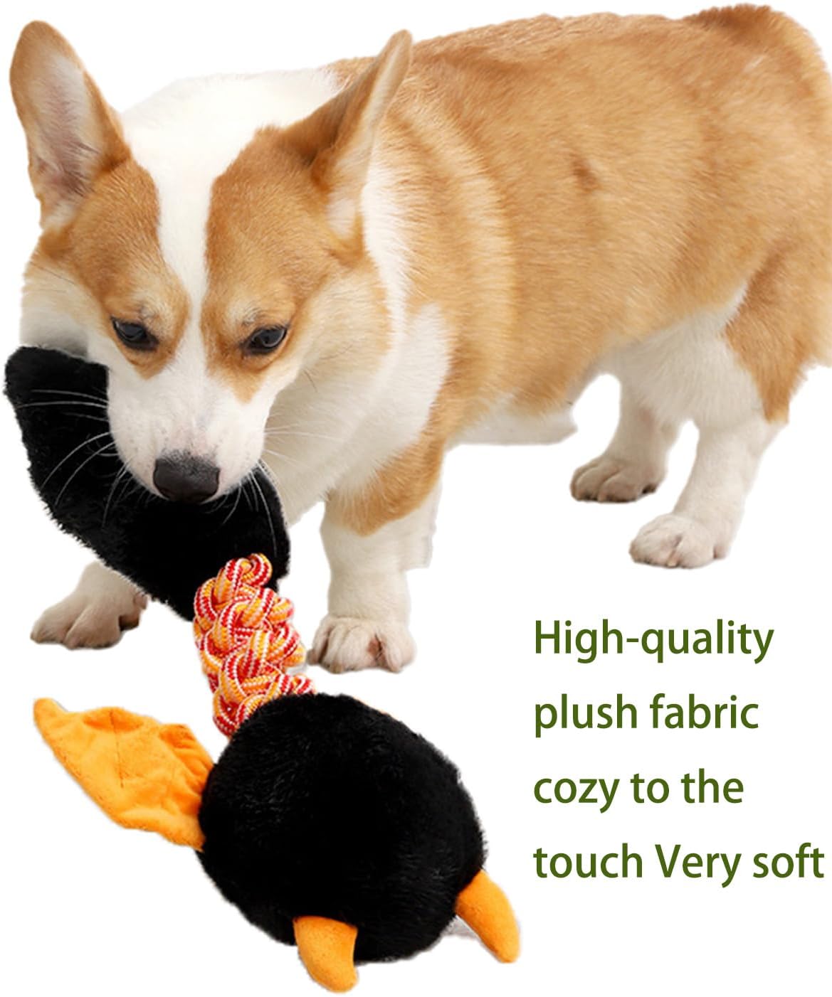 Fun Plush Pet Toys – Squeaky & Durable
