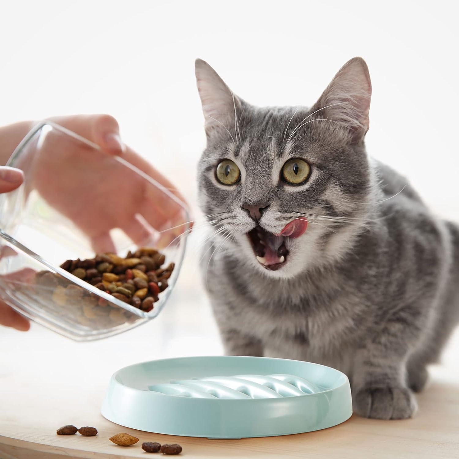 Interactive Slow Feeder Dish for Healthy Pet Eating