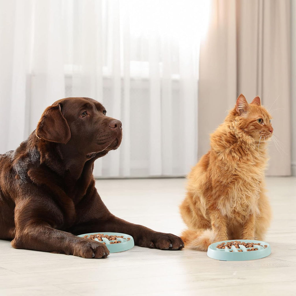 Interactive Slow Feeder Dish for Healthy Pet Eating