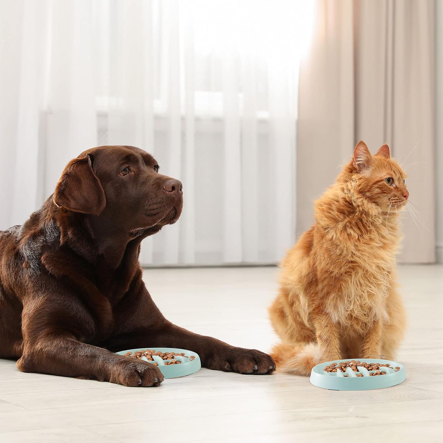 Interactive Slow Feeder Dish for Healthy Pet Eating